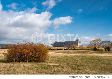 Yodogawa River Park in winter 97896797