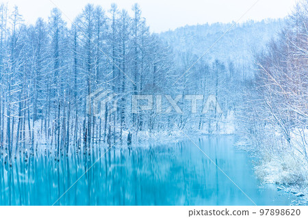 [北海道的冬天]白雪覆蓋的藍色池塘 97898620