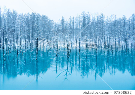[北海道的冬天]白雪覆蓋的藍色池塘 97898622