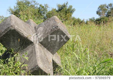 放在小志部川岸邊的四足動物 97898979