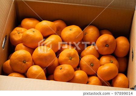 A lot of oranges in a cardboard box A lot of oranges in a cardboard box 97899014