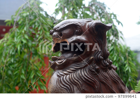 白波稻荷神社、尼崎貴船神社 Komainu 2 白波稻荷神社、尼崎貴船神社 Komainu 2 97899641