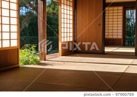 Soot-cleaning bamboo grass 97900789