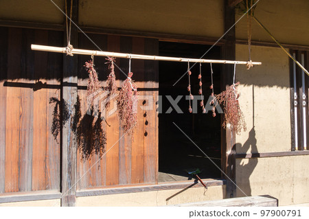 Hanging persimmons and soot removal 97900791