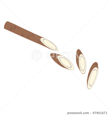 Vegetable illustration, cut burdock root 97901671