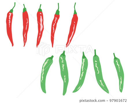 Vegetable Illustration Variety Set Chili Pepper / Shishi Pepper 97901672