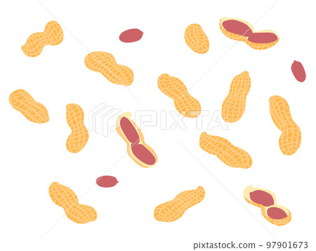 Vegetable illustration variety set peanuts 97901673