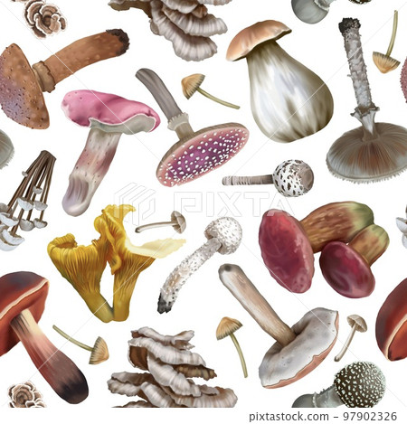 Watercolor seamless mushroom pattern. Realistic mushrooms. autumn pattern 97902326