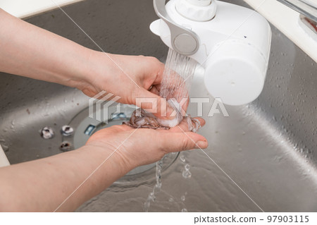 [A middle-aged housewife prepares a squid and cleans the squid] 97903115