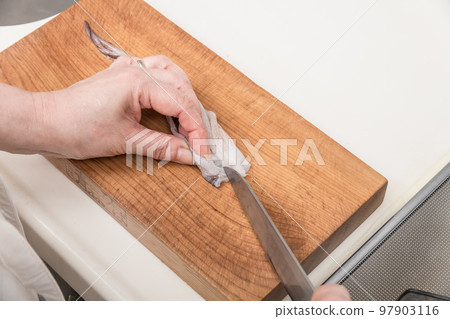 [A middle-aged housewife cuts a squid cuts the squid] 97903116