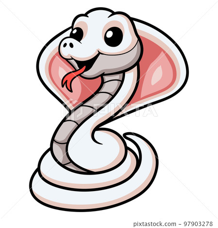 Cute leucistic cobra snake cartoon Cute leucistic cobra snake cartoon 97903278