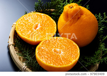 Dekopon black background 97903409