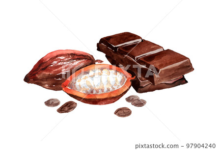 可可豆和巧克力水彩 可可豆和巧克力水彩 97904240