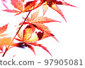 Colored leaves and flowers 97905081
