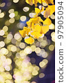 Ginkgo for illumination 97905094
