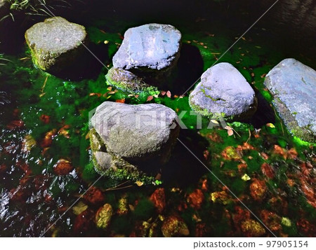 Ritsurin Park autumn light-up Fukiage-tei stepping stones Ritsurin Park autumn light-up Fukiage-tei stepping stones 97905154
