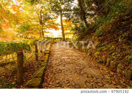 成田山公園的步行道 成田山公園的步行道 97905192