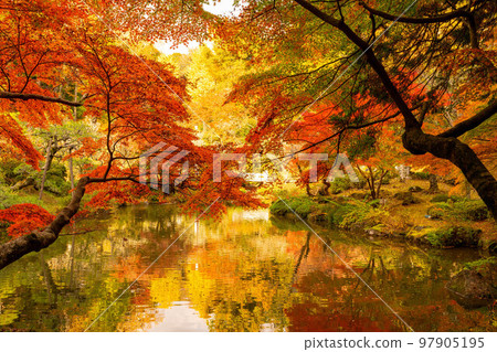 顛倒的紅葉成田山公園紅葉節 97905195