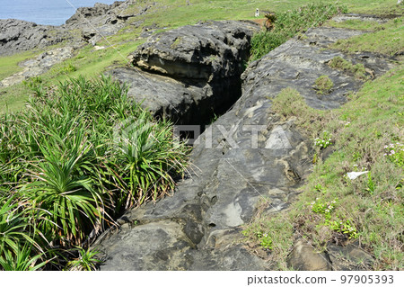 庫布拉巴厘島 庫布拉巴厘島 97905393