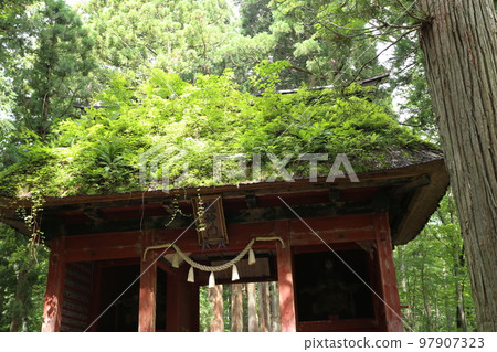 Togakushi Okusha和Zuijinmon在茅草屋頂上有很多植物 Togakushi Okusha和Zuijinmon在茅草屋頂上有很多植物 97907323