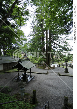 戶隱神社的中社,三棵大杉樹是神樹。 戶隱神社的中社,三棵大杉樹是神樹。 97907526