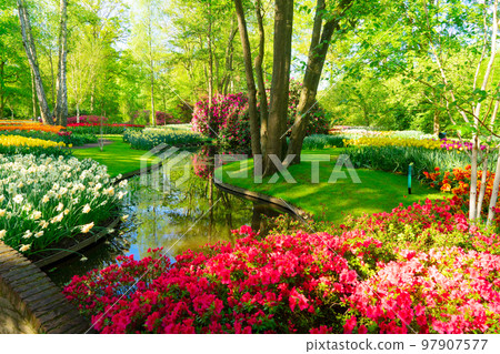 fresh lawn with flowers 97907577