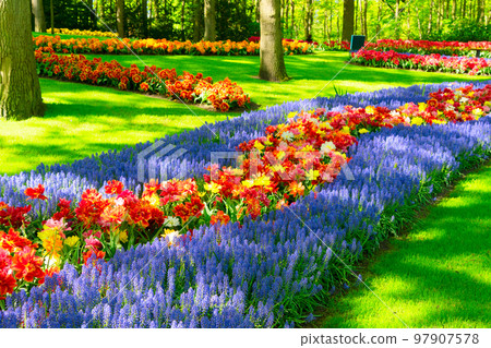 fresh lawn with flowers 97907578