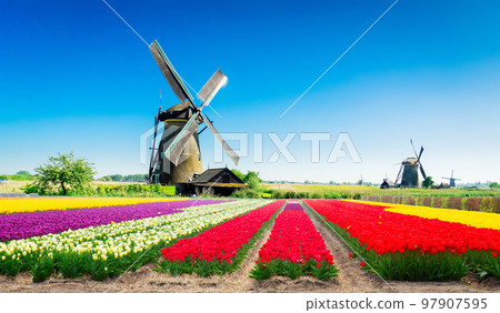 Dutch wind mills 97907595
