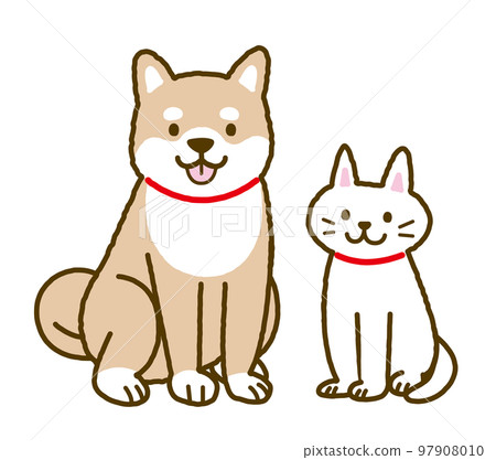 柴犬和貓 97908010