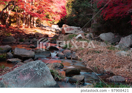 Gorgeous mountain stream and autumn leaves 1 Soja City, Okayama Prefecture 97908421