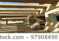 Confident cat looks to the left under the wooden boards 97908490