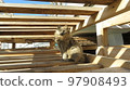 A gray confident cat looks at you under wooden planks 97908493