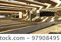 Gray cat in striped sunlight under wooden planks 97908495