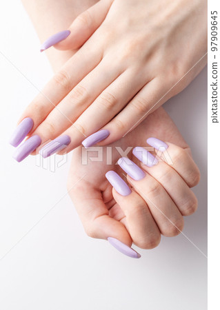 Hands of a girl with a soft purple manicure on a white background. 97909645