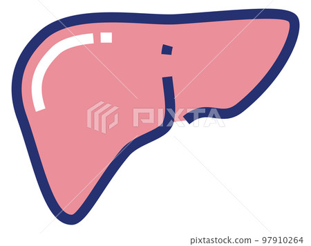 Liver icon. Human organ. Anatomy color symbol Liver icon. Human organ. Anatomy color symbol 97910264