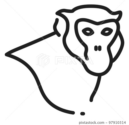 Monkey head linear portrait. Jungle animal icon 97910314