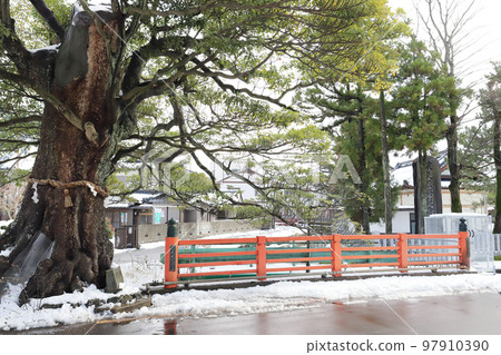 Kasumi Tab Tree Winter（福井縣堺市丸岡町） 97910390