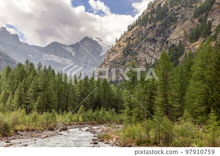 evergreen pine forest and swift water stream, mountain peaks covered with snow evergreen pine forest and swift water stream, mountain peaks covered with snow 97910759