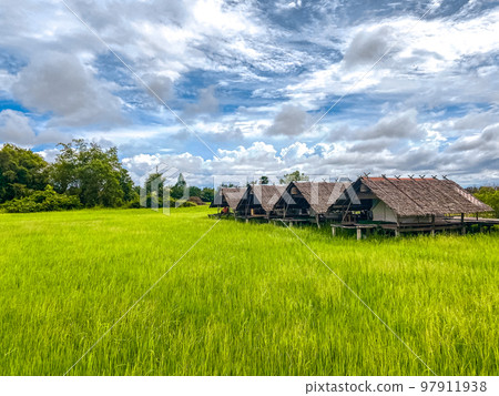Sampaothai viewpoint, attraction park with a boat in rice fields, in Phattalaung, Thailand Sampaothai viewpoint, attraction park with a boat in rice fields, in Phattalaung, Thailand 97911938