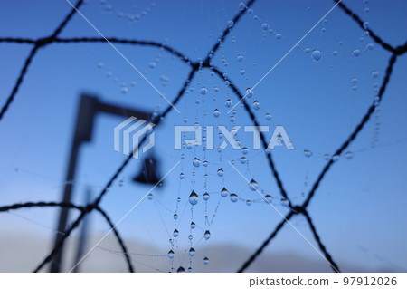 Bear bells floating in drops 97912026