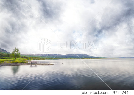 Lake scenery with a bench and a pine tree 97912441