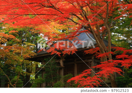 世界遺產岩手縣平泉町平泉中尊寺的紅葉 97912523
