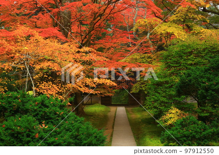 Autumn leaves of Hiraizumi Chusonji Temple in Hiraizumi Town, Iwate Prefecture, a World Heritage Site Autumn leaves of Hiraizumi Chusonji Temple in Hiraizumi Town, Iwate Prefecture, a World Heritage Site 97912550
