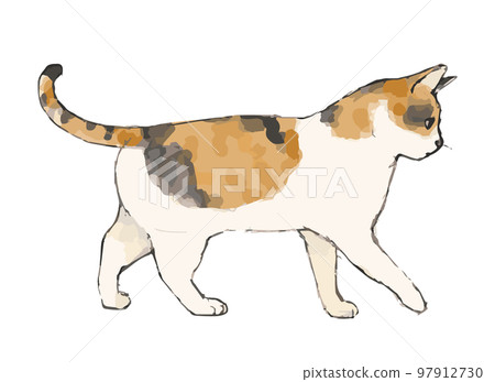 watercolor style hand drawn illustration of a cat 97912730