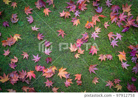 autumn season in japan nature background autumn season in japan nature background 97912758