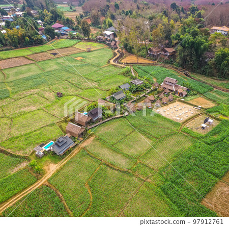 Aerial view of Houses in the middle of rice fields in Nan province, Thailand 97912761