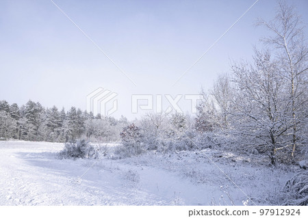 Winter scenery on a bright day in December 97912924