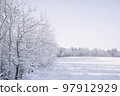 Frosty trees along a meadow Frosty trees along a meadow 97912929