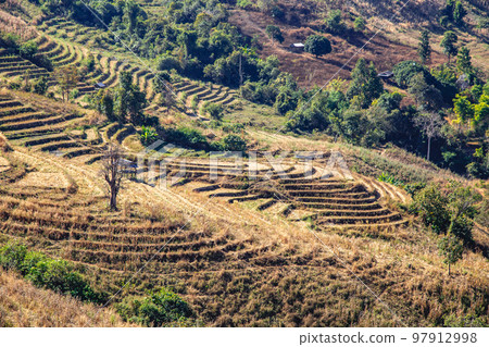 Ban Pa Pong Piang Rice terraces or Baan Pa Pong Pieng in Doi Inthanon national park, Chiang Mai Ban Pa Pong Piang Rice terraces or Baan Pa Pong Pieng in Doi Inthanon national park, Chiang Mai 97912998