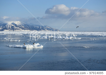 Drift ice of Rausu, Shiretoko Peninsula, Hokkaido 97914095